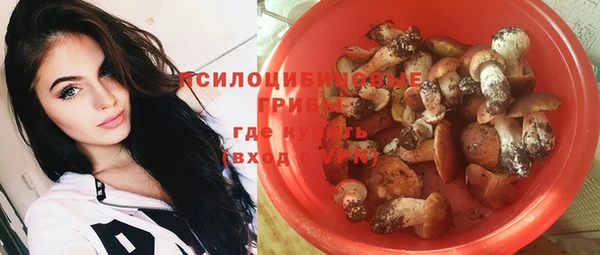 бошки Осинники