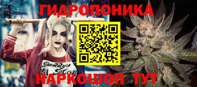 СК Канаш