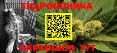 spice Кандалакша