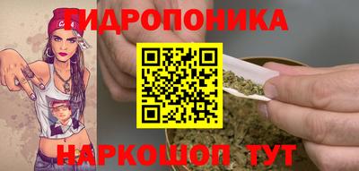 spice Кандалакша