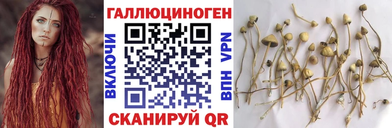 МЕГА   Саратов  дарк нет какой сайт  Псилоцибиновые грибы ЛСД 