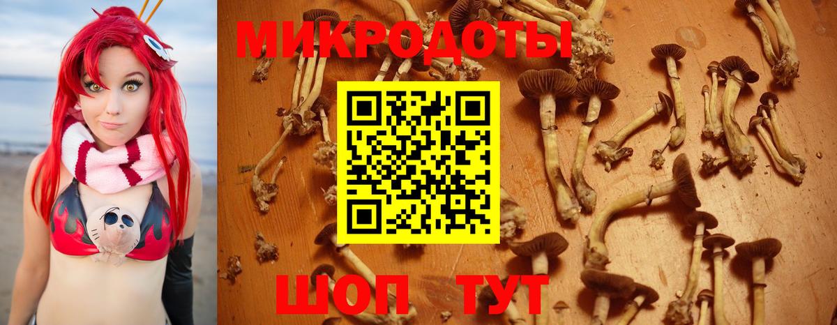 Саратов  наркотики  Вход с VPN  Псилоцибиновые грибы Psilocybine cubensis 